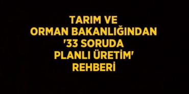 25357296522832328652tasarimli