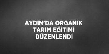 25366258822885023329tasarimli