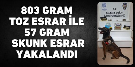 803 GRAM TOZ ESRAR İLE 57 GRAM SKUNK ESRAR YAKALANDI
