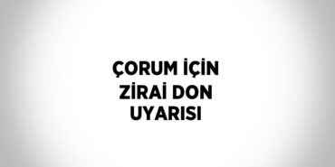 25368291142565626327tasarimli