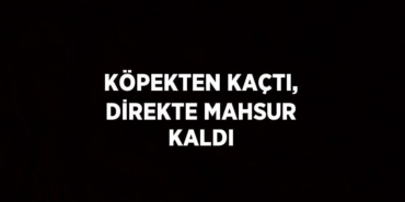 25375278952271629958tasarimli