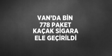 25385243722653028356tasarimli
