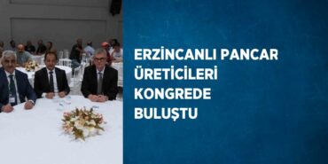 25386208313118728999