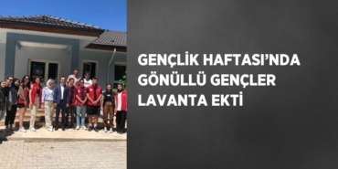 25398223802638630711