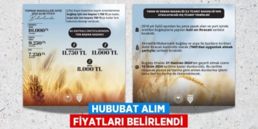 25406207023070021096tasarimli