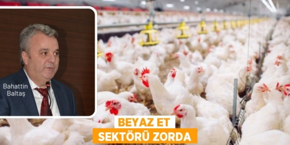 BEYAZ ET  SEKTÖRÜ ZORDA