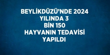 25409280582982828182tasarimli