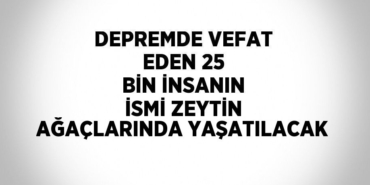 25415279492429431150tasarimli