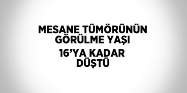 25419253692808928697tasarimli