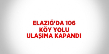 25419265692532830092tasarimli