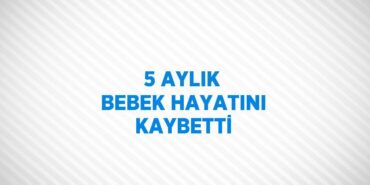 25421224402121131265tasarimli