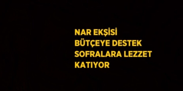 25436211463011428707