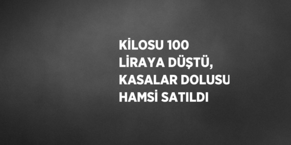 KİLOSU 100 LİRAYA DÜŞTÜ, KASALAR DOLUSU HAMSİ SATILDI