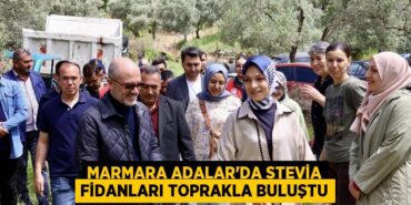 25440271092365530154tasarimli