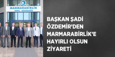 25444230952244524181