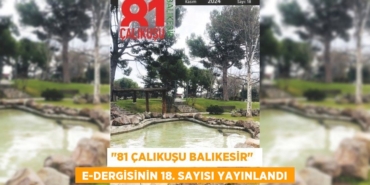 25444296132523329574tasarimli