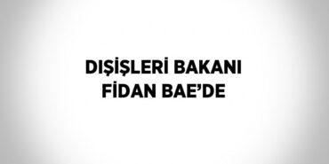 25445261752878629980tasarimli