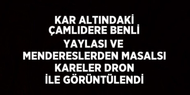 25447286372451430673tasarimli