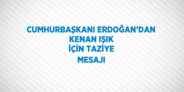 25447306433153024731tasarimli