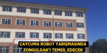 25452241902914121357tasarimli