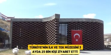 25453252882734420440tasarimli