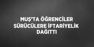 25458288742806826772tasarimli