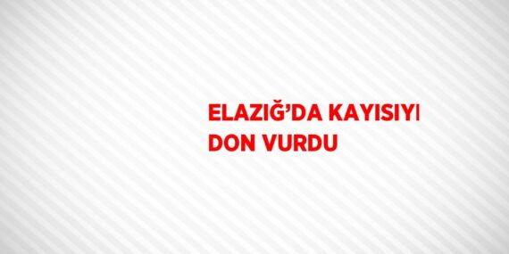 ELAZIĞ’DA KAYISIYI DON VURDU