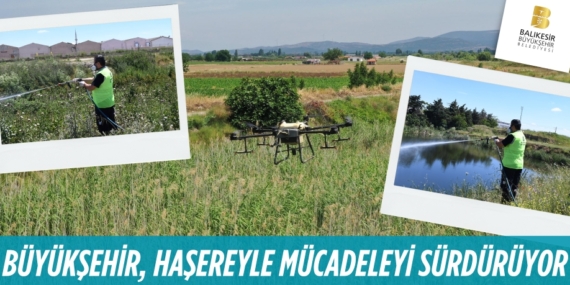 BÜYÜKŞEHİR, HAŞEREYLE MÜCADELEYİ SÜRDÜRÜYOR