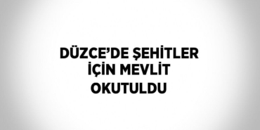 25482277833118620318tasarimli