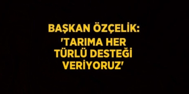 25487264492802720981tasarimli