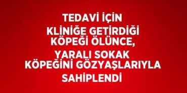 25491242262387820540tasarimli