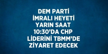 25495298952001724981tasarimli