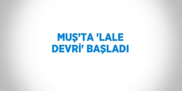 25500247403030230812tasarimli