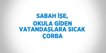 25502214862536320537tasarimli