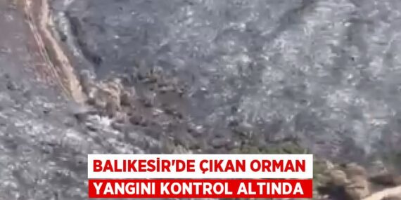BALIKESİR’DE ÇIKAN ORMAN YANGINI KONTROL ALTINDA