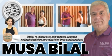 25513317072832830408