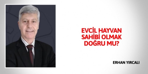 EVCİL HAYVAN SAHİBİ OLMAK DOĞRU MU?
