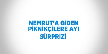 25521222393193721396tasarimli