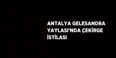 25521305952835428210