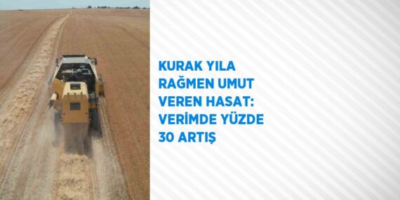 KURAK YILA RAĞMEN UMUT VEREN HASAT: VERİMDE YÜZDE 30 ARTIŞ