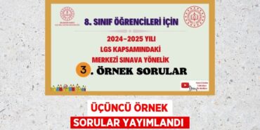 25530209682535122242tasarimli