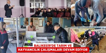 25537271452248320862tasarimli