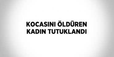 25544288522295024955tasarimli