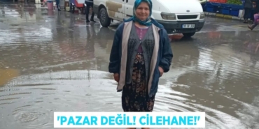 25545201003092024709