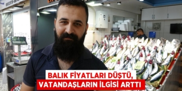 25556243352158021335tasarimli