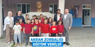 25562216902263328314tasarimli