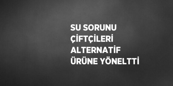 SU SORUNU ÇİFTÇİLERİ ALTERNATİF ÜRÜNE YÖNELTTİ