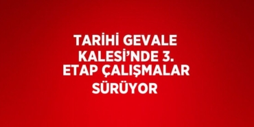 25572309012717121843tasarimli
