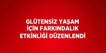 25578230883127820221tasarimli