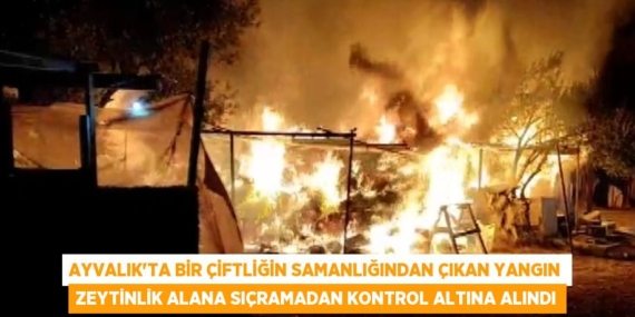 AYVALIK’TA BİR ÇİFTLİĞİN SAMANLIĞINDAN ÇIKAN YANGIN ZEYTİNLİK ALANA SIÇRAMADAN KONTROL ALTINA ALINDI